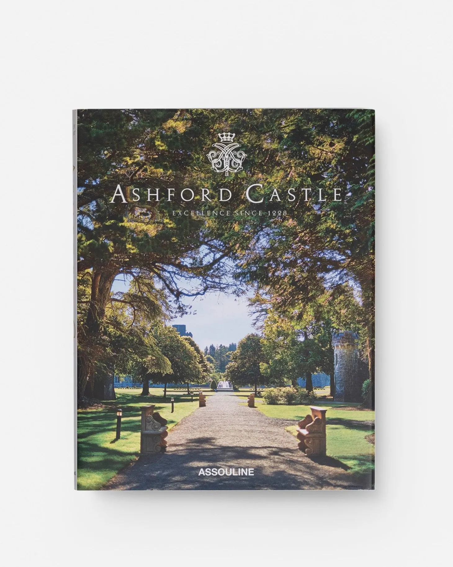 Ashford-Kasteel