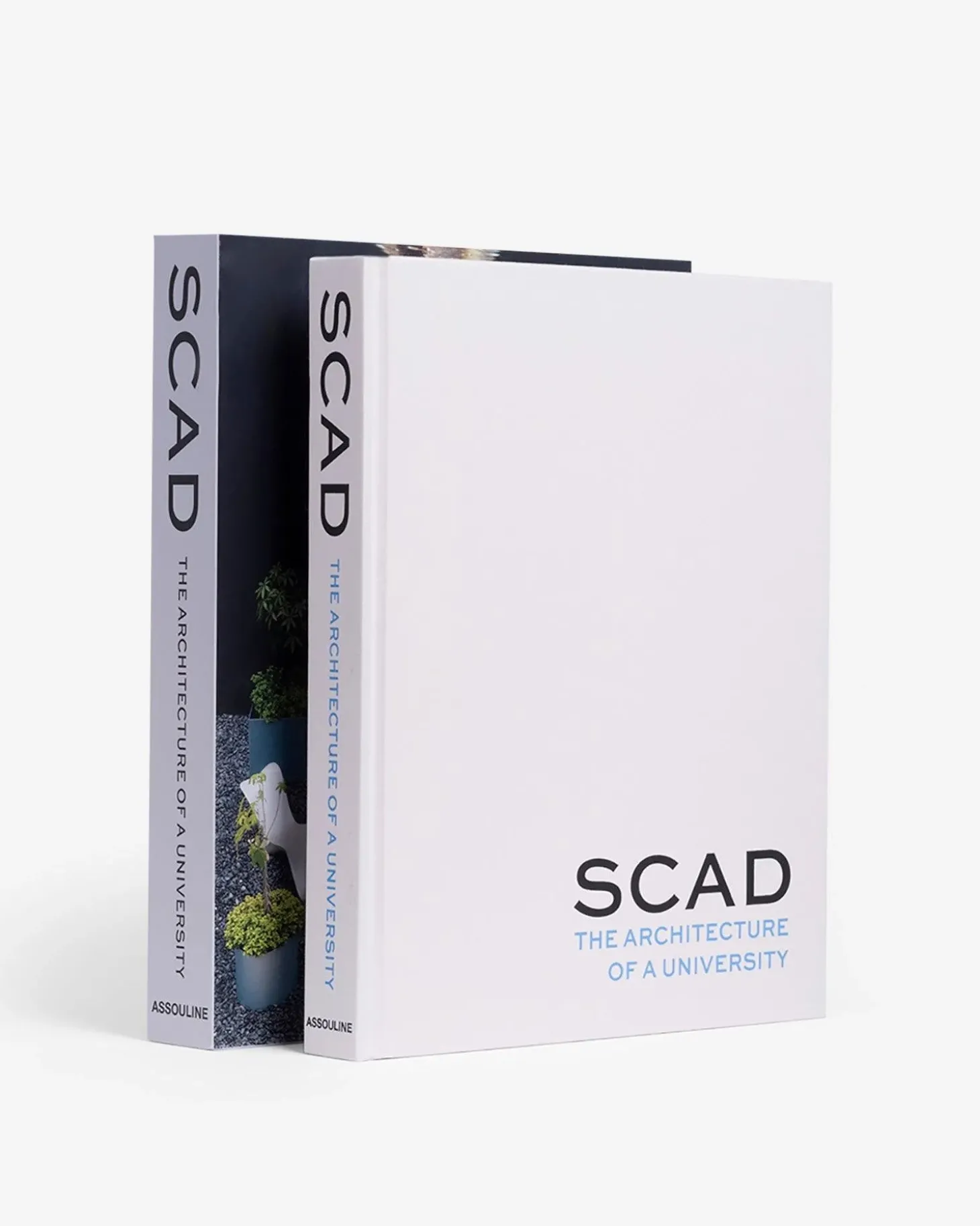 Scad, Architectuur Van Een Universiteit