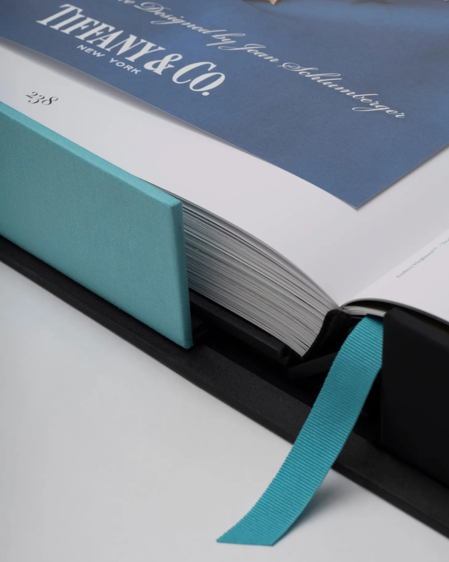 Tiffany & Co. Visie En Virtuositeit (Ultieme Editie)