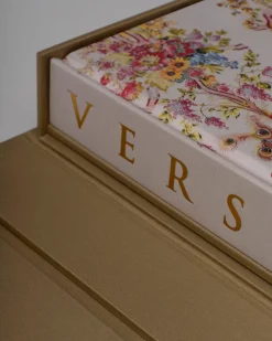 Versailles: Van Lodewijk Xiv Tot Jeff Koons (Speciale Editie)