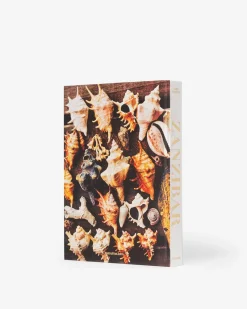 Zanzibar